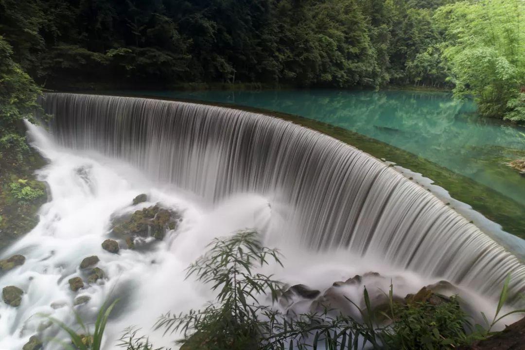 生化危机启示录2