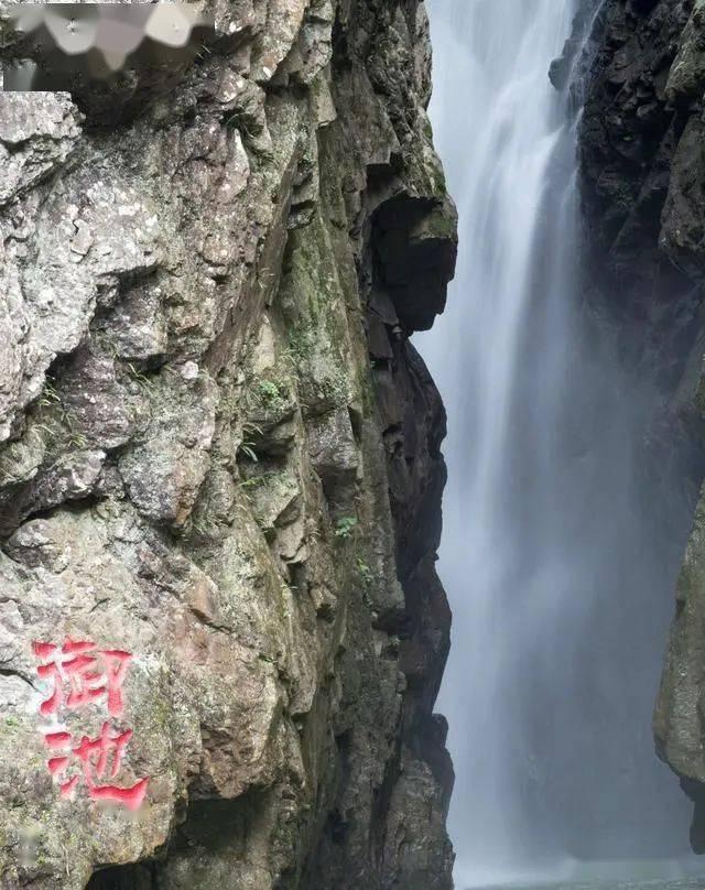 燃烧吧大脑免广告最新版