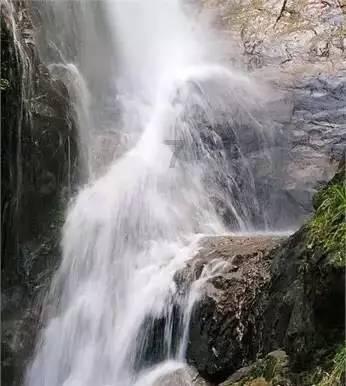 健脑美食大奉送，让孩子越吃越聪明，考试门门都优秀