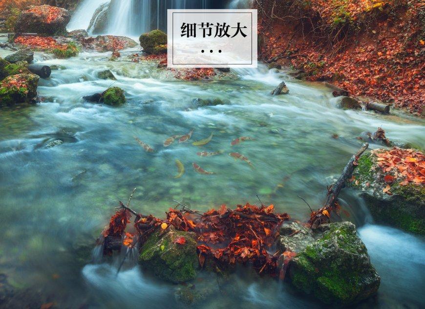 尚织汉服学塾:姓和氏的由来和区别是什么