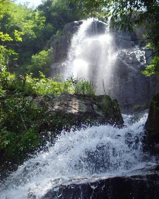守护飞行城堡