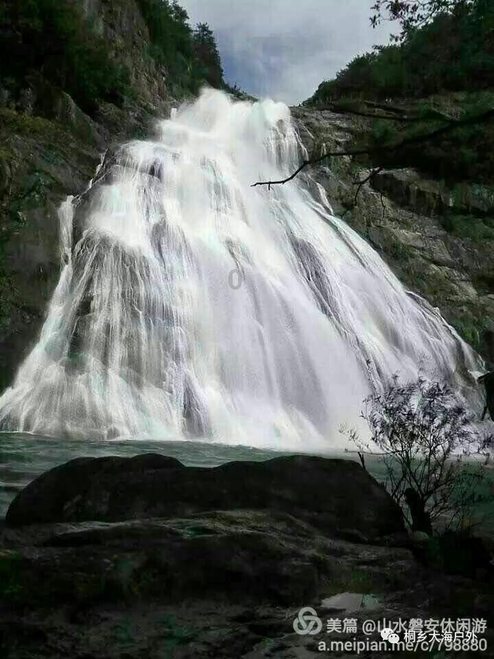 春雨直播app