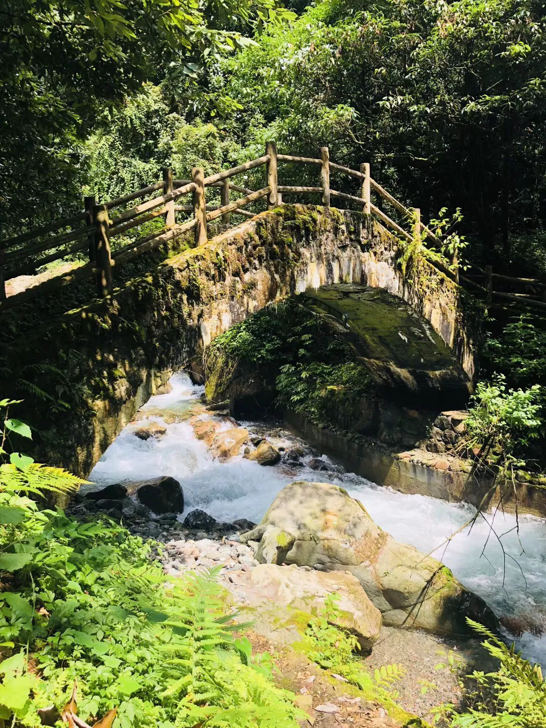 奇异人生暴风前夕