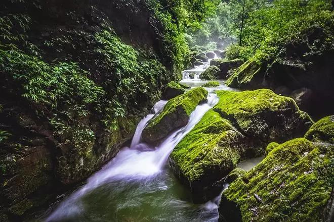 春雨直播app