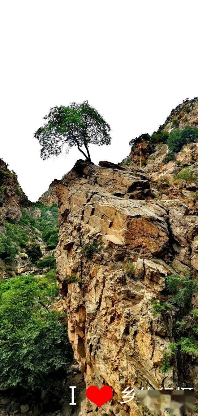 逃离粉红岛
