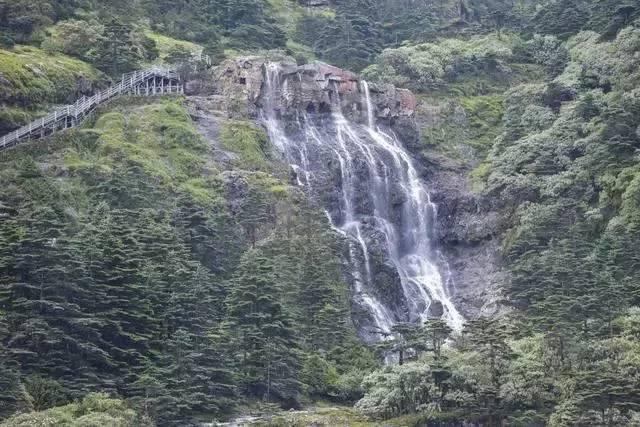 虫虫助手下载