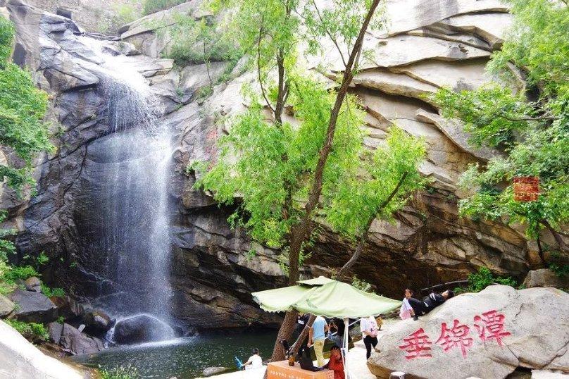 麦克斯：兄弟魔咒