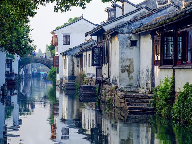 春雨直播app