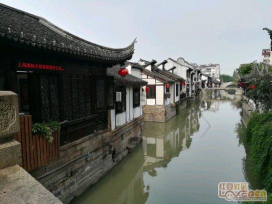 仅仅认识3天，就给美女转账十几万，你不被骗谁被骗