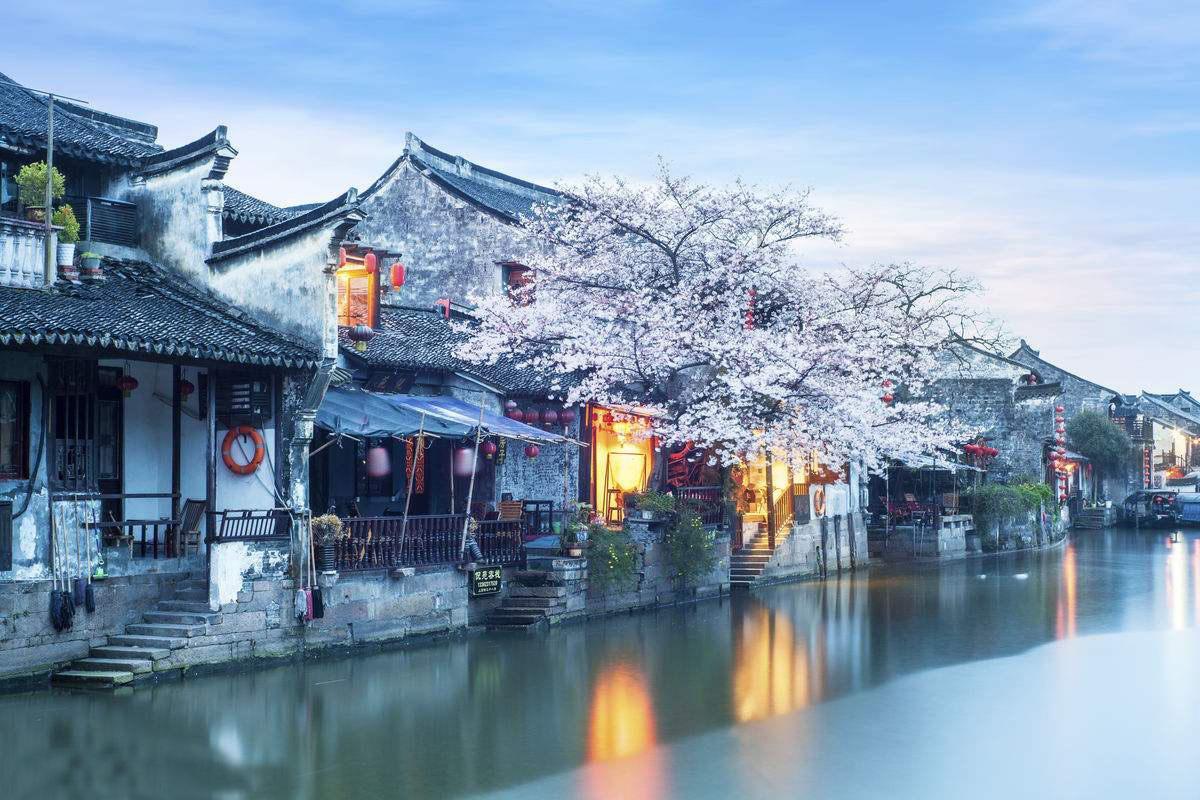 逗小猴开心系列163