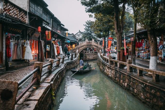 逃离变色龙森林