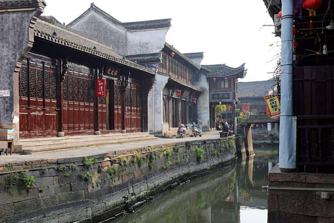 细胞分裂5