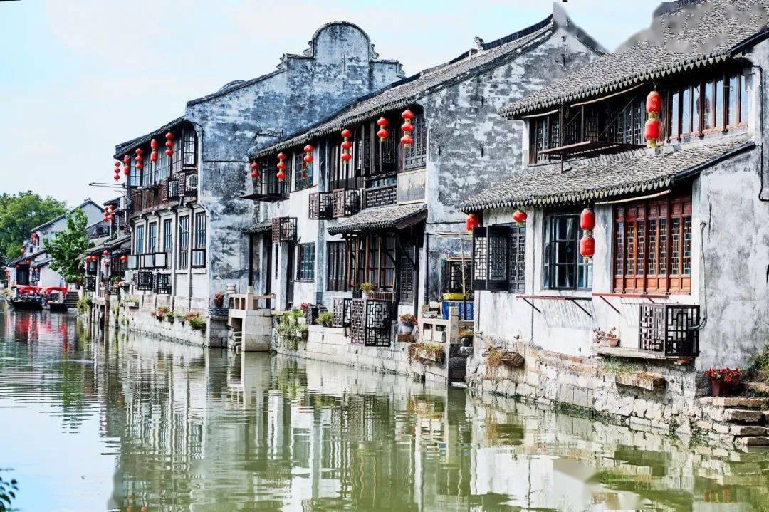 动物帮帮忙保卫家园