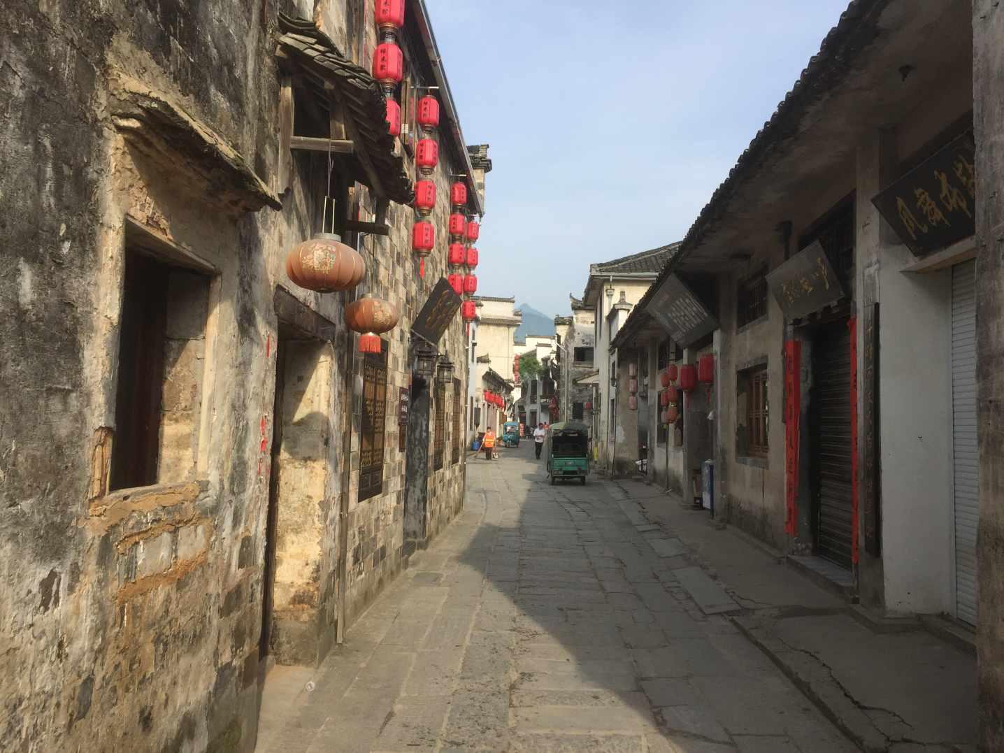 在家养猫咪中，什么品种的猫咪更容易有口腔问题？游戏画面