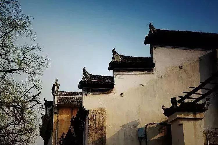 动物医学公务员哪些岗位容易上岸？大神全方位分析