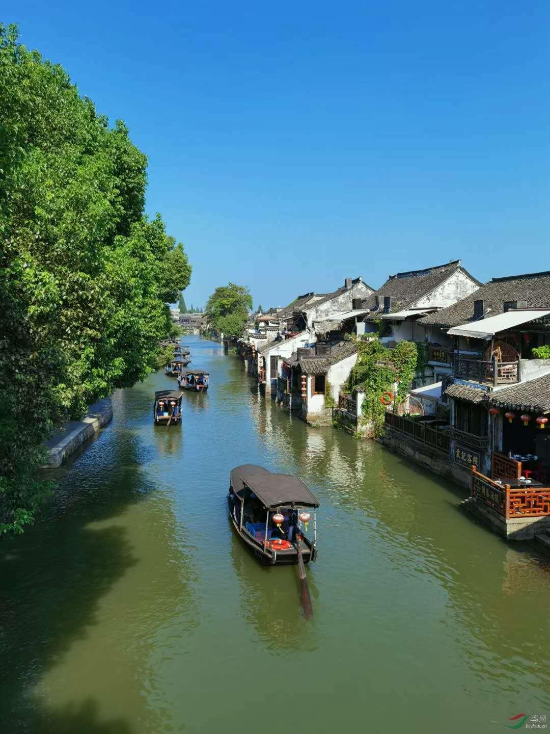 全民剧本大师内置菜单
