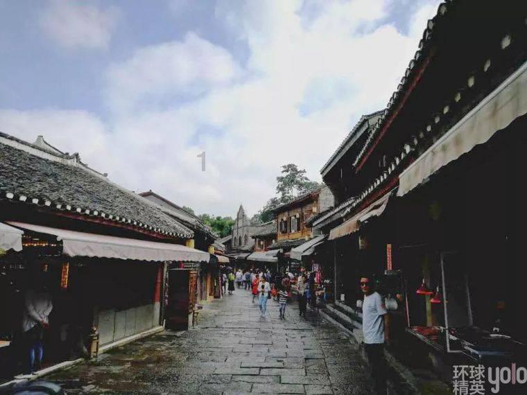 动物帮帮忙保卫家园