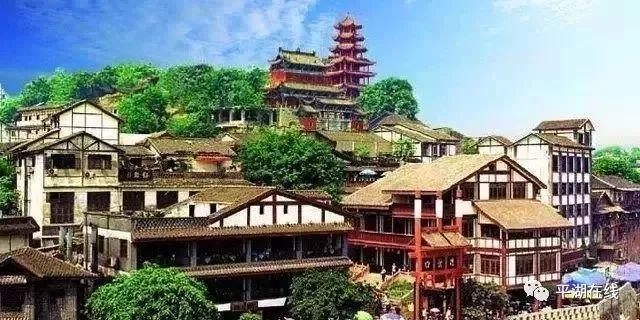 忍者鲨鱼