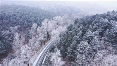 【两会·词解】童险峰代表:创新求变,做好民营经济