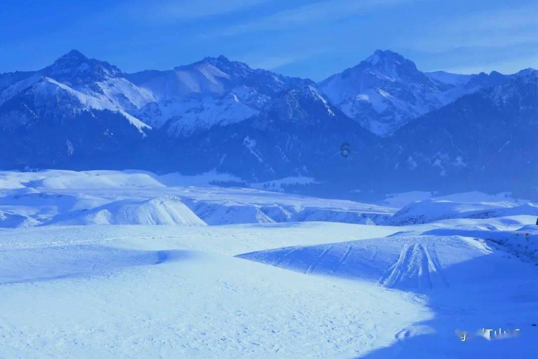 球王李金羽谈中国足球青训：6岁起步，13岁追赶，何时能迎头赶上？