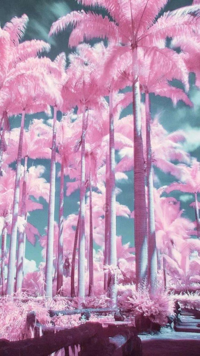破碎的沉默