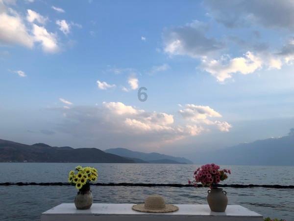 虫虫助手下载