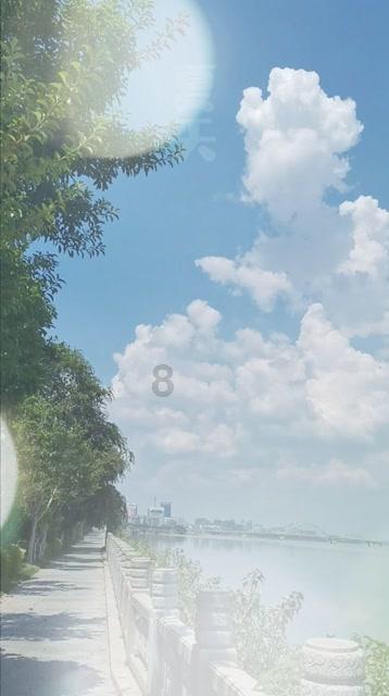 虫虫助手下载